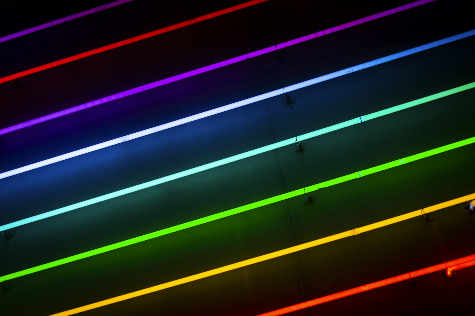 Neon light streaks vibrant colors